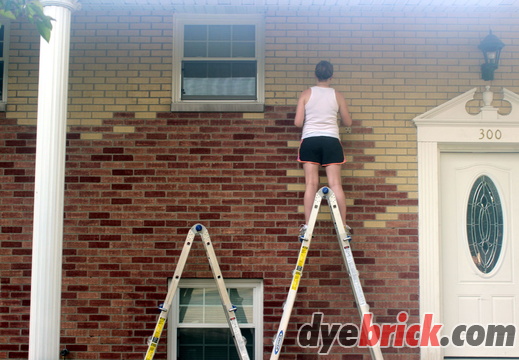 002 Applying Dyebrick